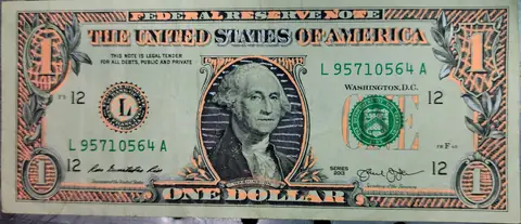 Dollar Bill Art #236